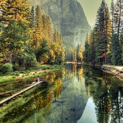 Computer-IT services